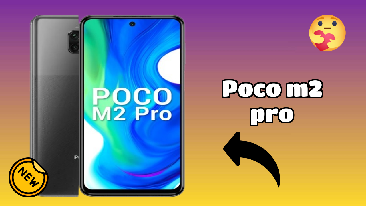 POCO M2 Pro Camera Review: 48 MP + 8 MP + 5 MP + 2 MP Rear Camera Photo Test